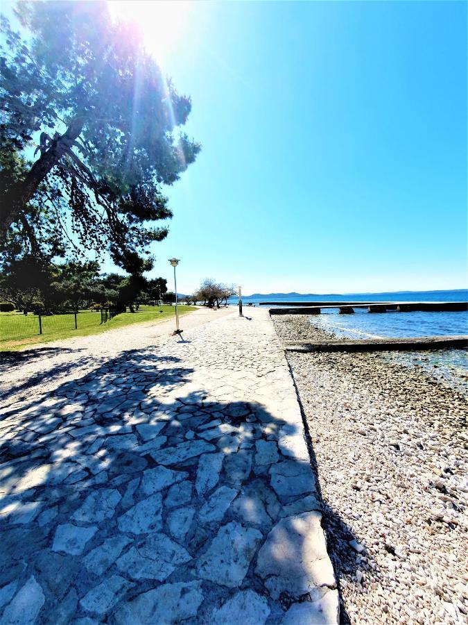 - Pine Diklo Apartament