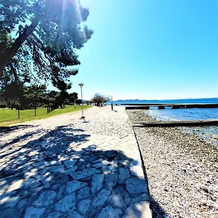 Apartment Zadar - Pine Diklo Exterior photo