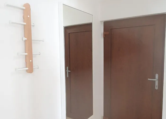 Apartment Zadar - Pine Diklo