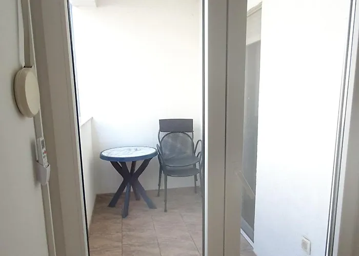 Apartment Zadar - Pine Diklo