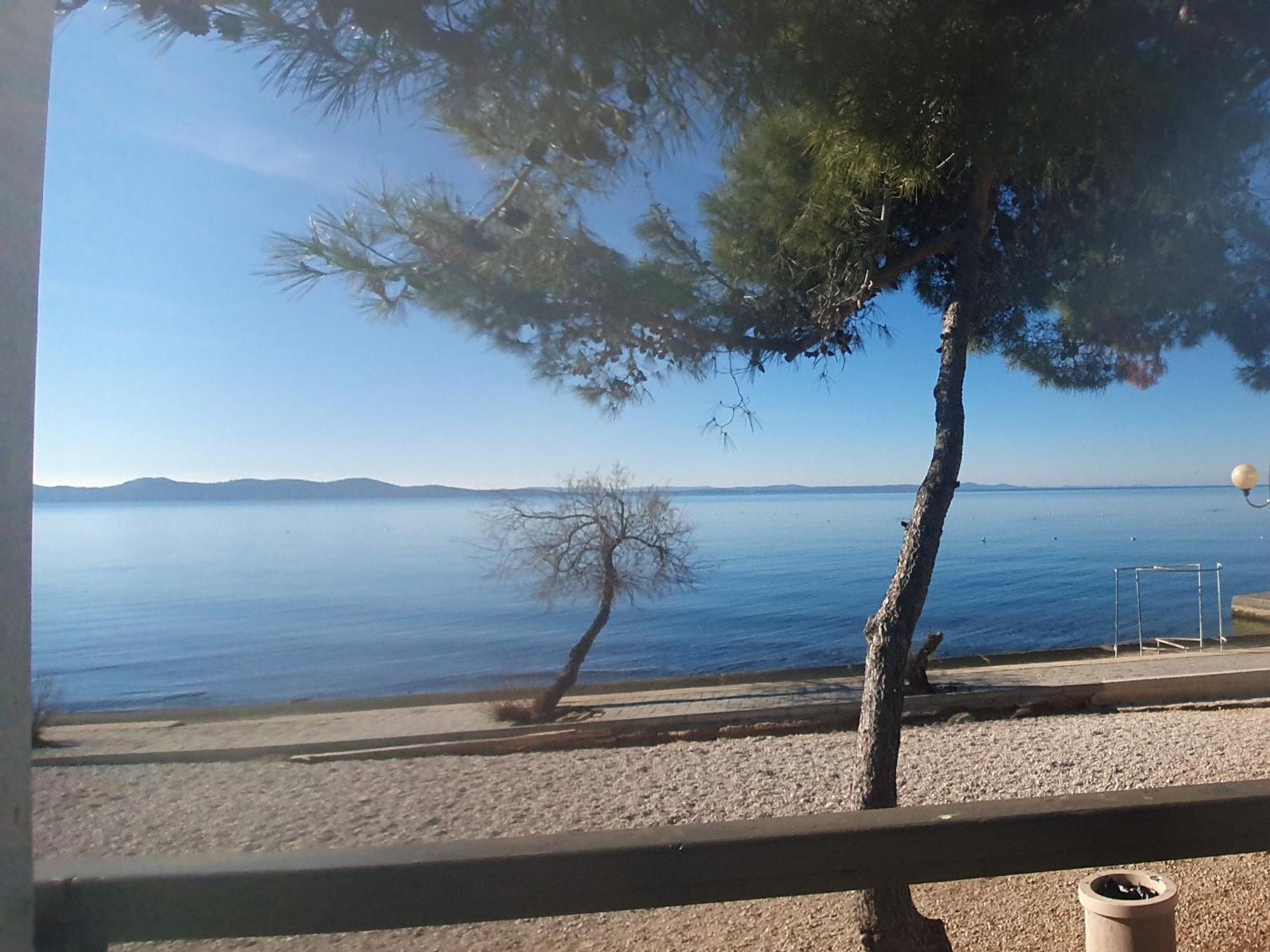 - Pine Diklo Apartment Zadar